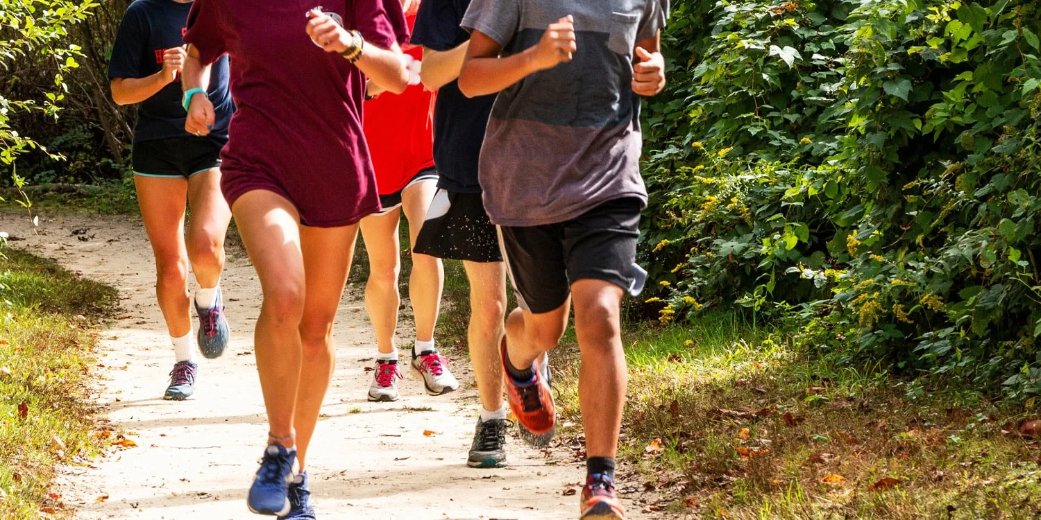 Moderate cycling boosts endocannabinoids and mood more than yoga or stretching