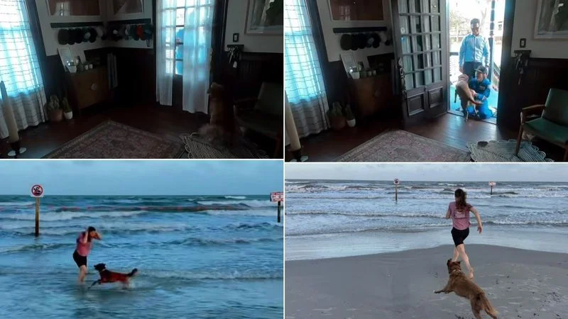 Christina Koch’s Moon Mission Homecoming Sparks Viral Dog Reunion