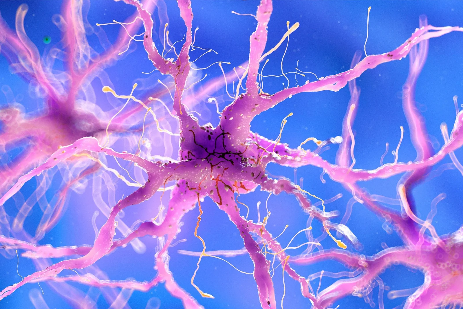 Blocking AHR May Unleash Nerve Regrowth After Injury