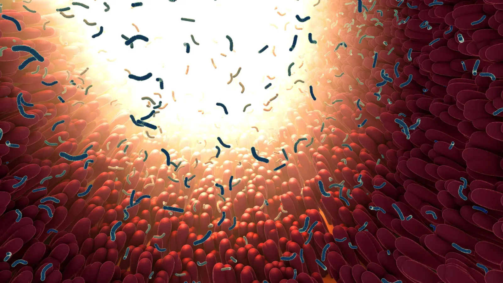 Gut Exosomes: Tiny Particles Driving Aging with Youthful Clues
