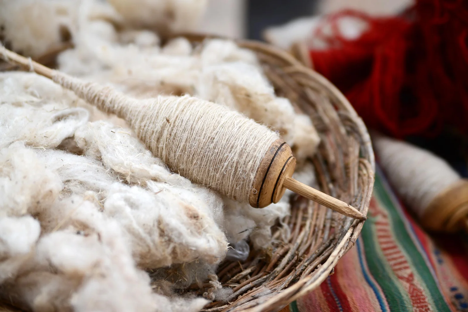 Wool-Derived Keratin Membranes Show Promise for Bone Regeneration