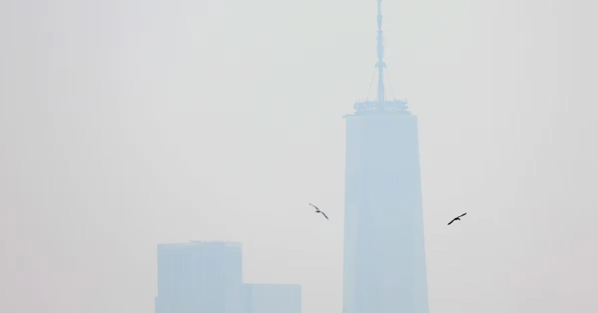 Canadian Wildfire Smoke Triggers Health Alerts and Air Pollution Concerns in Northeastern US and Canada.