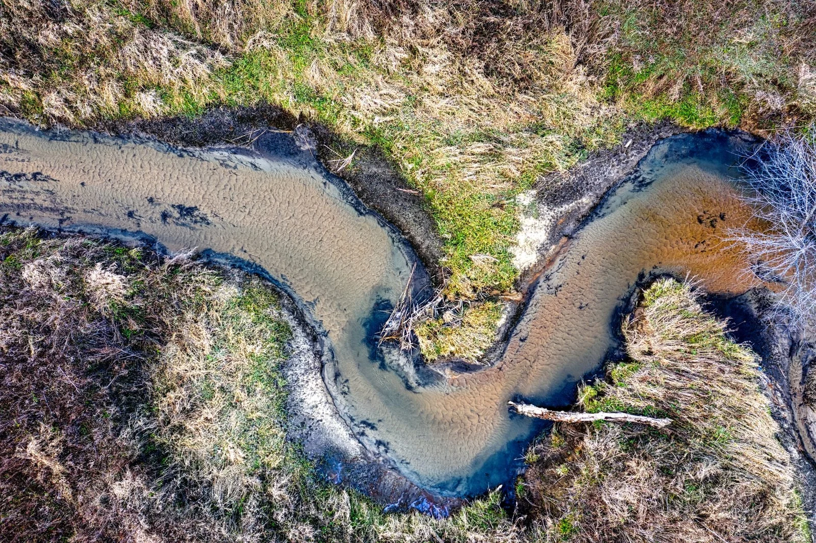 Rivers Bend Before Leaves: New Study Rewrites Meander Origins