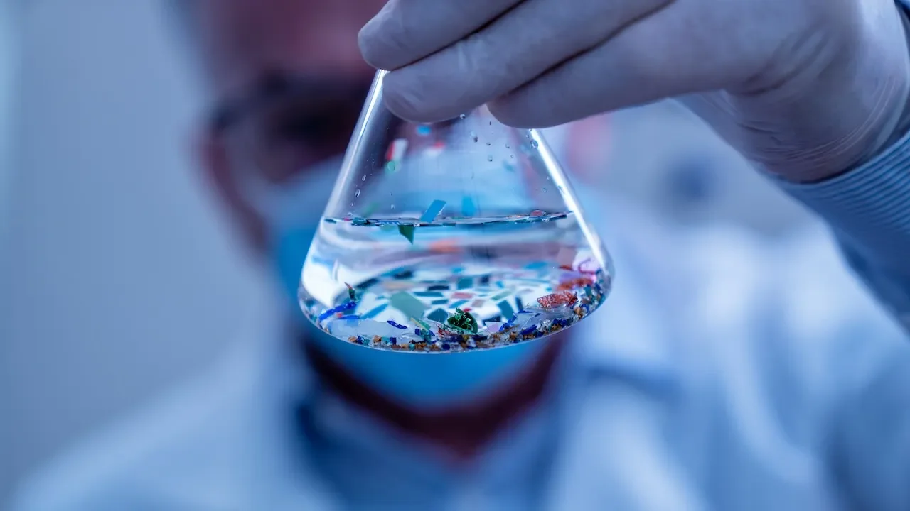 New Research Finds Microplastics in Blood of Most Acute Heart Attack Patients