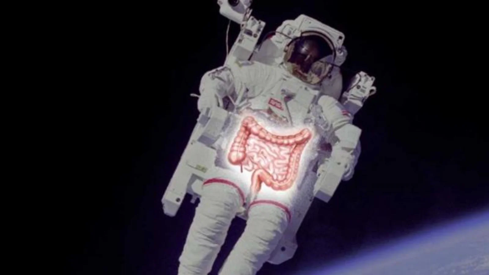 Spaceflight slows digestion by altering gut microbes, study finds