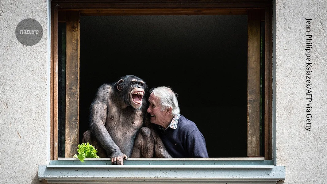 Tickles Across Species: Ape and Human Laughter Share a Shared Rhythm