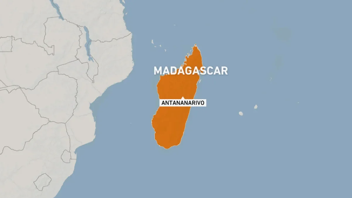 Madagascar detains ex-French serviceman in alleged destabilisation plot