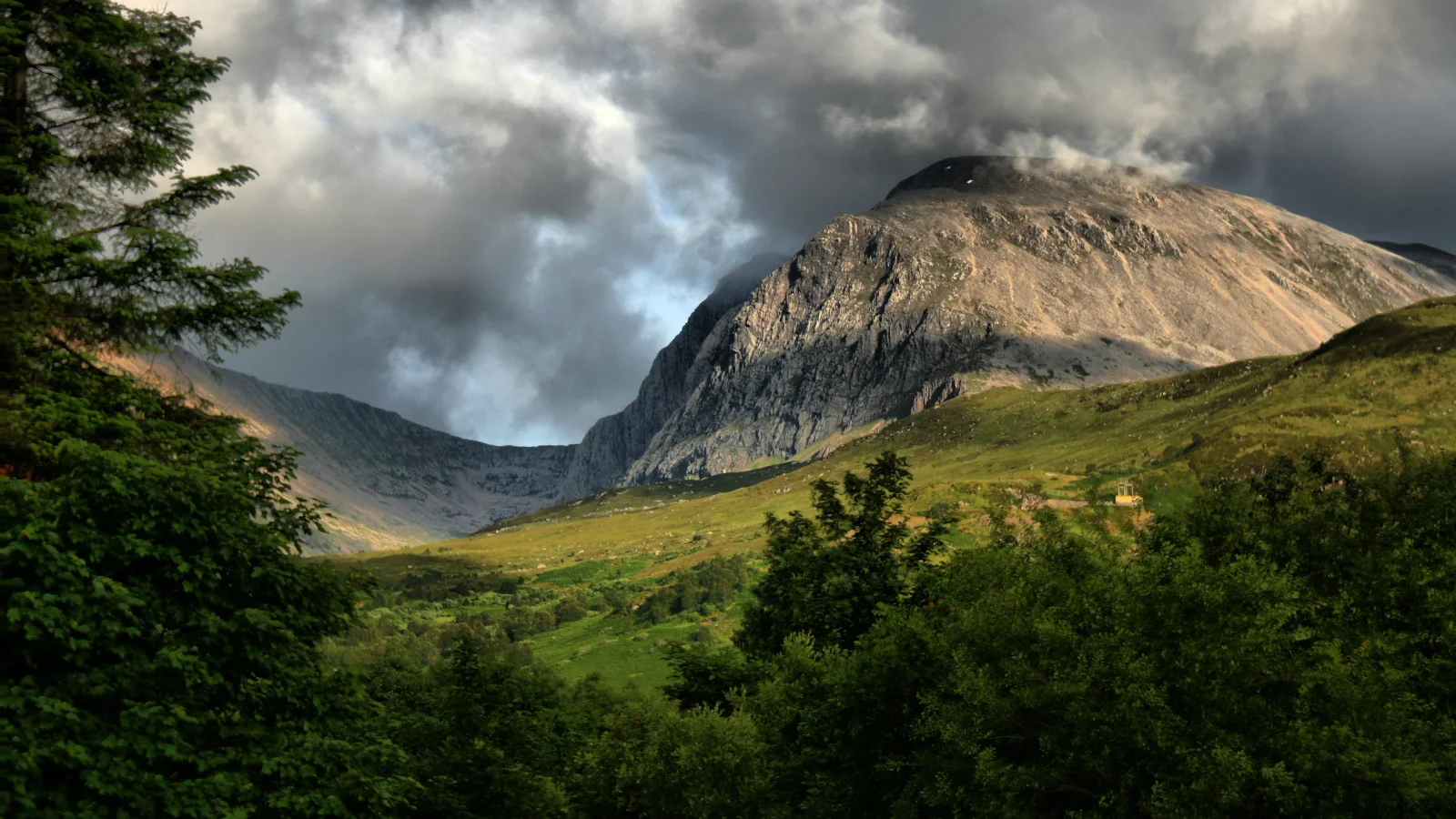 Labrador Rescued on Ben Nevis After Cannabis Exposure