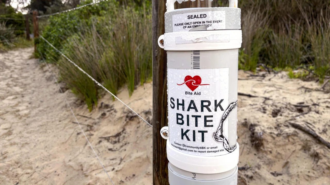 Left-hook clash: Australian teacher punches 4m great white at Coogee Beach