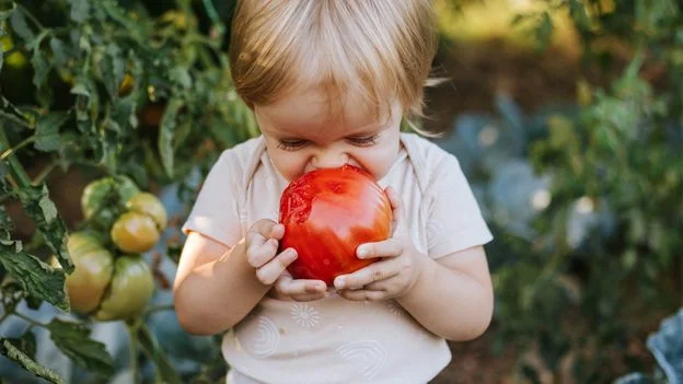 Six science-backed strategies to help picky eaters embrace vegetables