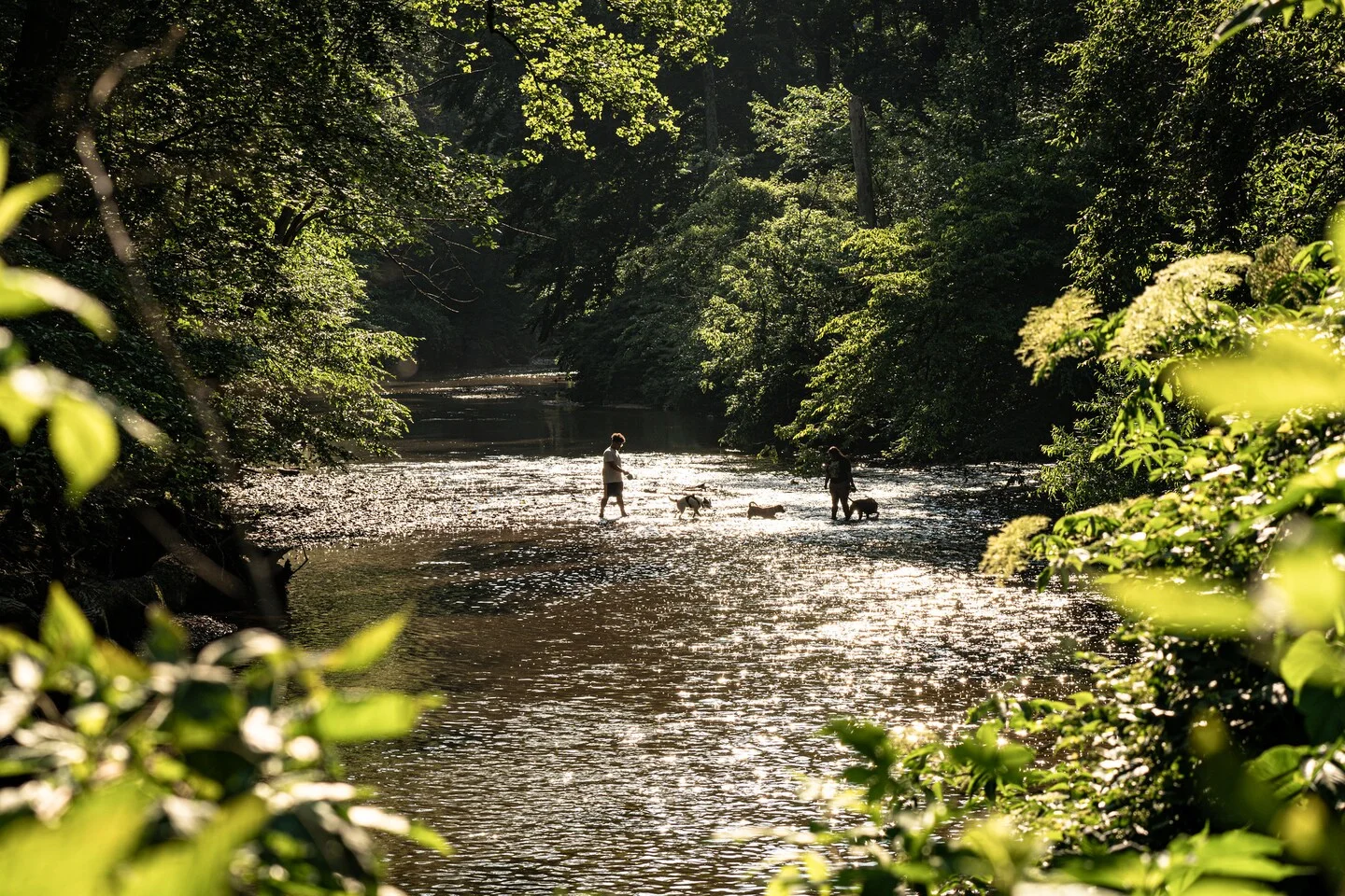 Weekend Forecast: Hot and Stormy Weather Ahead
