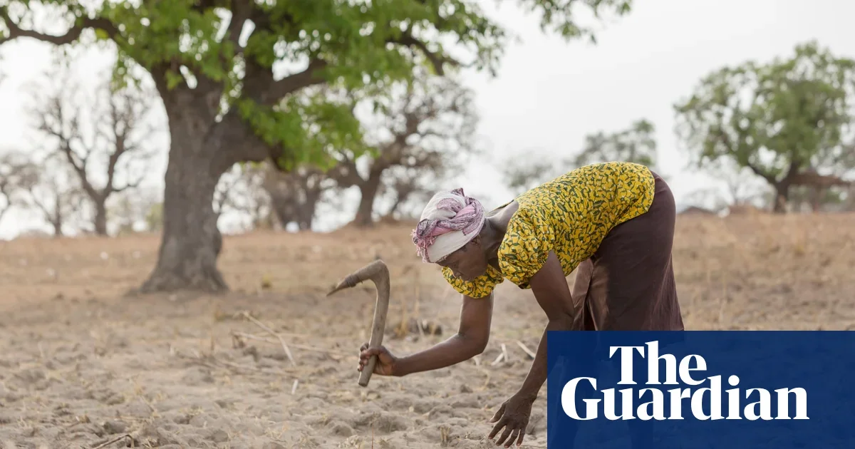 Cop17 unlocks $12bn for drought-stricken nations’ land restoration