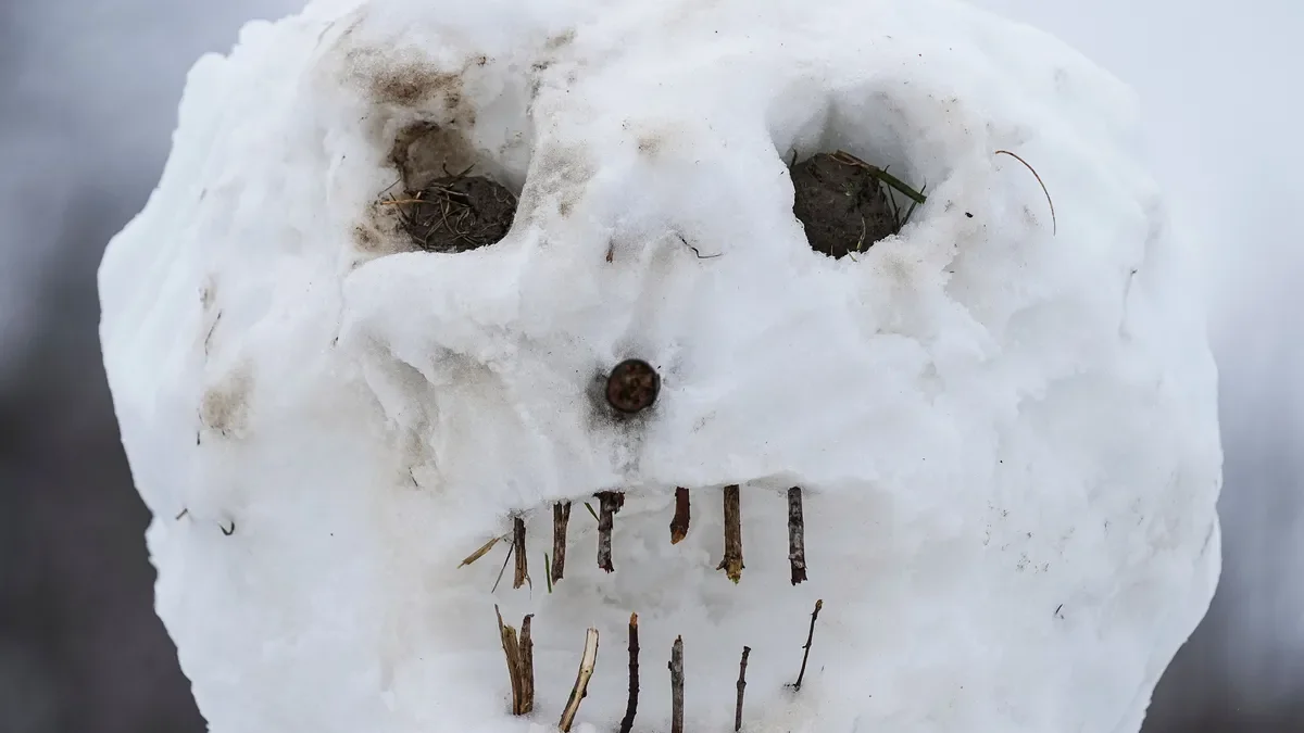 Upcoming Weather: Snow, Showers, and Storms Expected in Various Regions