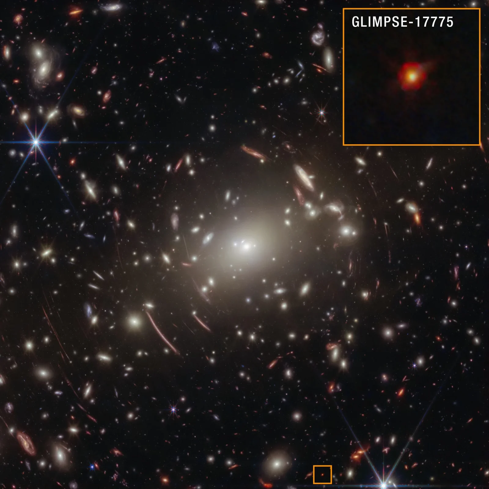 Webb’s tiny red dots may be newborn black holes hidden in dense gas
