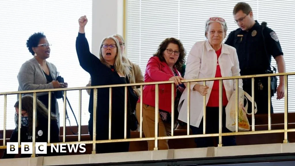 North Carolina Senate Passes 12-Week Abortion Ban Despite Governor's Veto Threat.