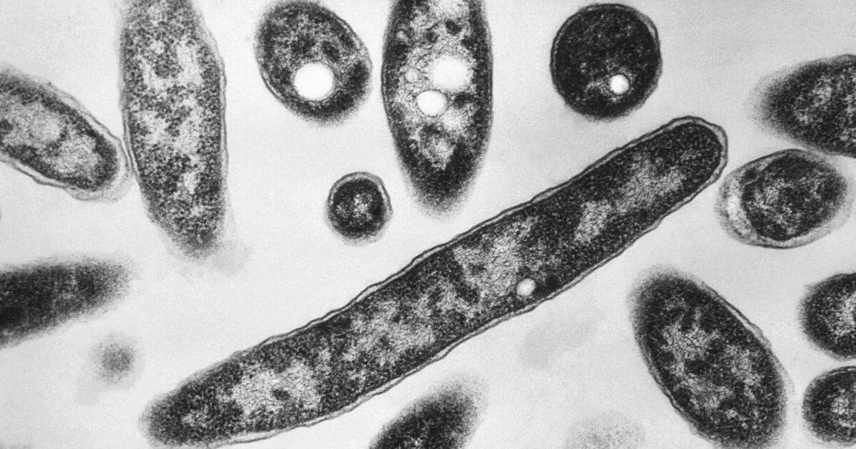 Franklin County Records Several Legionnaires’ Cases as Health Officials Investigate