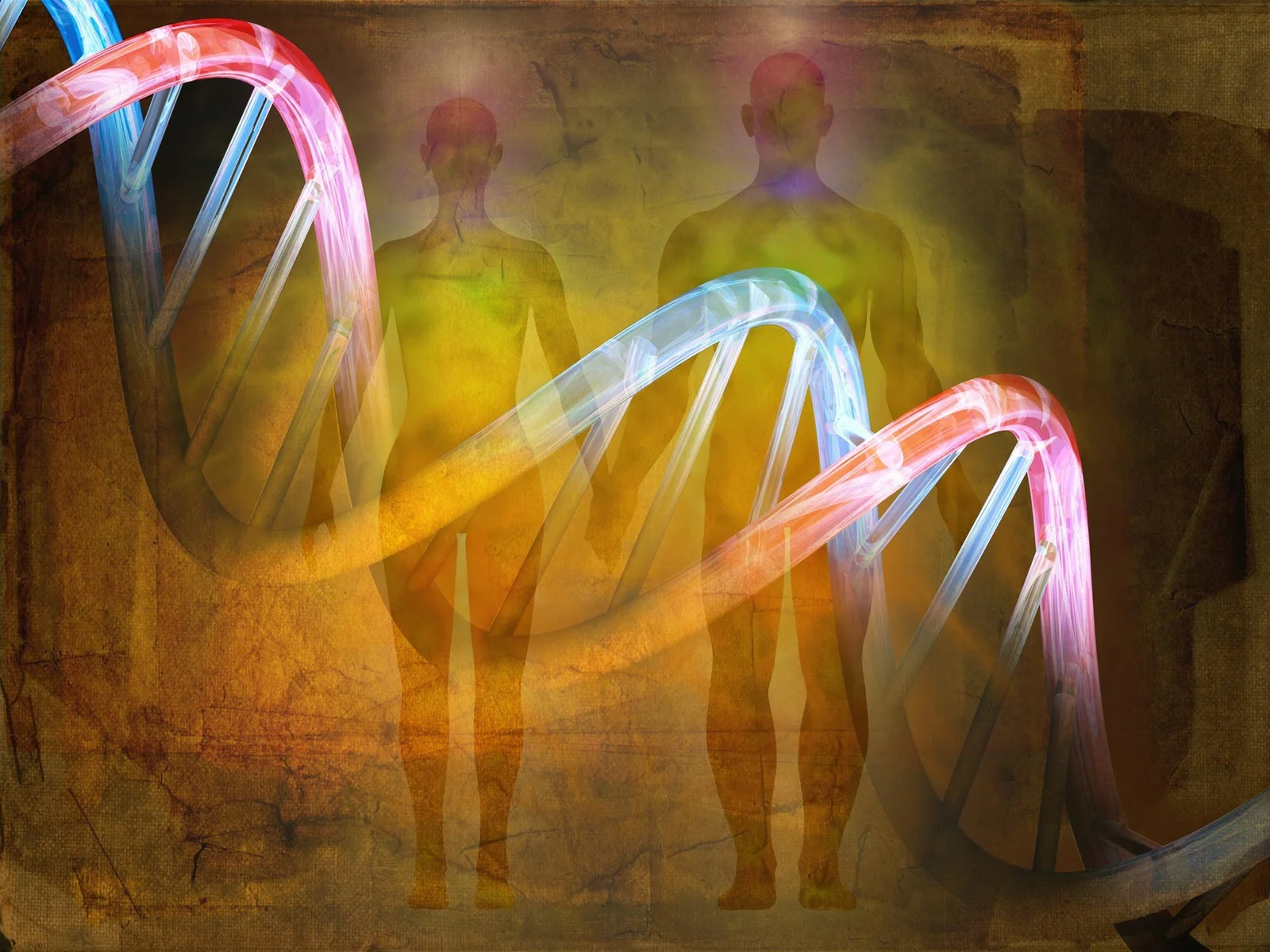 Ancient Genome Tracks Rapid Turn in Human Evolution