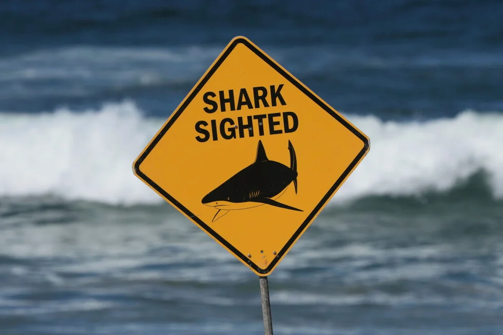 Spearfisher Mauled on the Great Barrier Reef as Australia Records Second Fatal Shark Attack in a Week