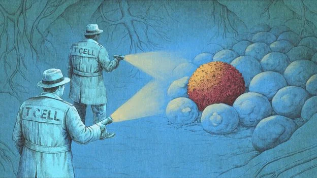 Immunotherapy Pushes Cancer Toward Cure for Some Patients