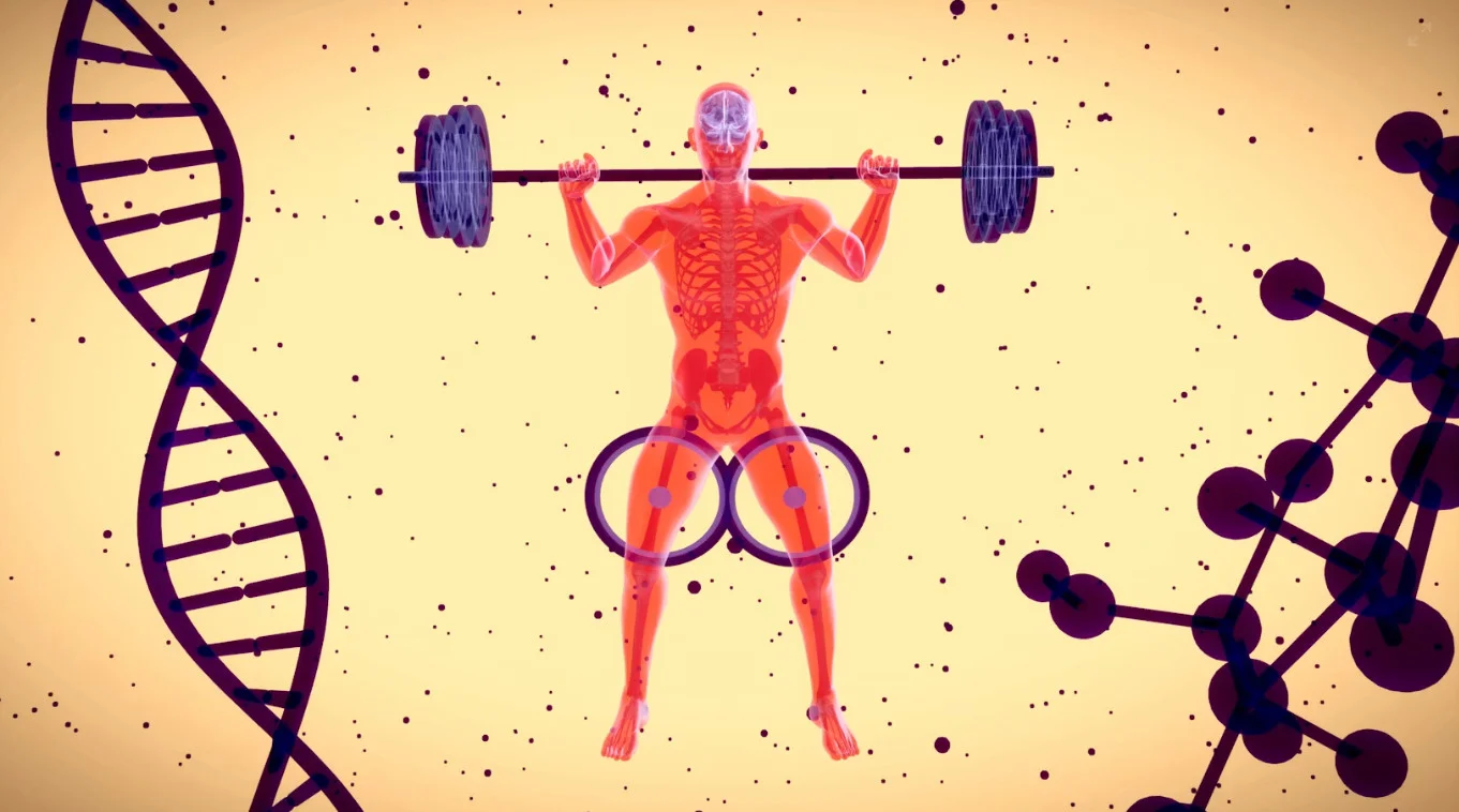 Global drop in men's testosterone over 50 years sparks health concerns