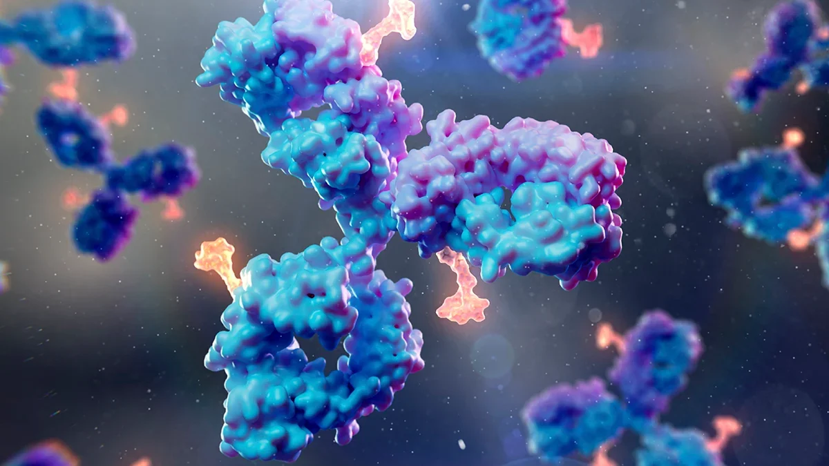 Antibody Breakthrough Targets Epstein-Barr Virus, Hinting at Transplant Protection