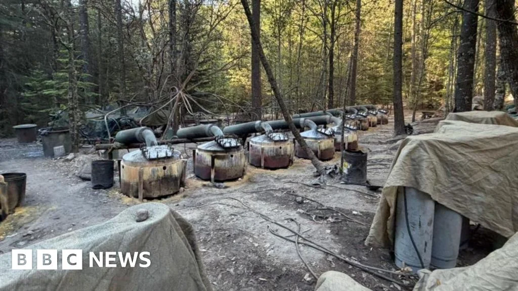 Mexico probes US officials' involvement after fatal counter-narcotics crash