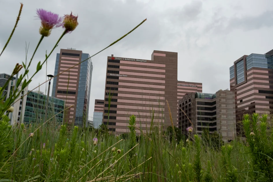 Texas Children’s Hospital Ordered to Open Detransition Clinic Under $10M Settlement