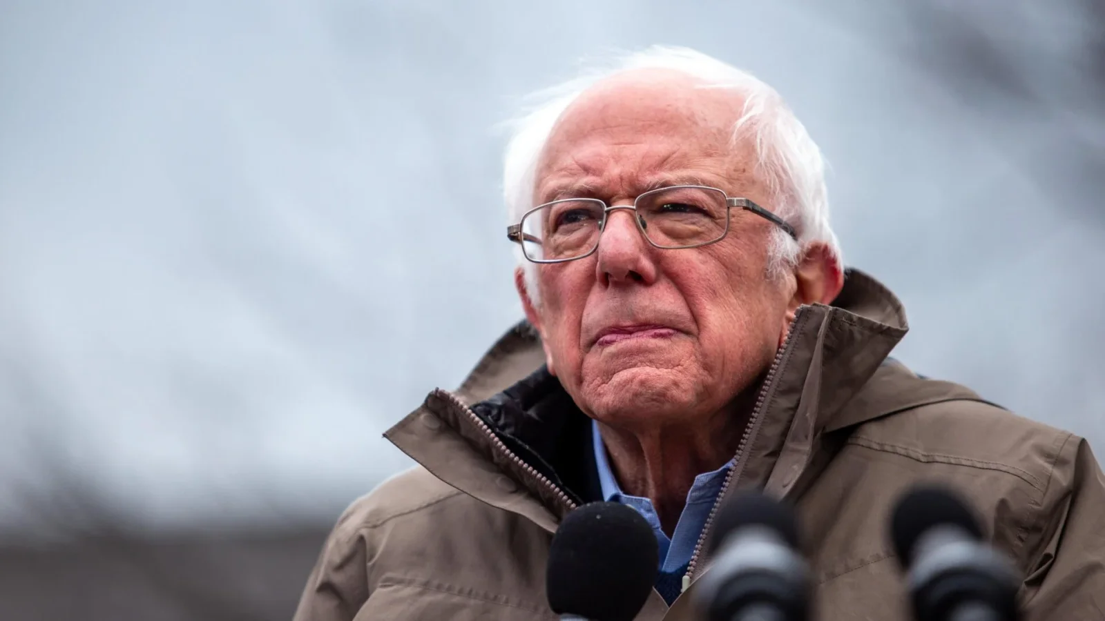 Poll Finds Strong Public Backing for Bernie-Style AI Stock Ownership