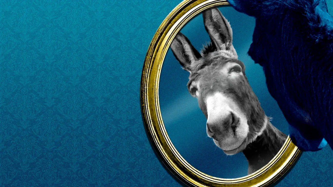 DNC releases contentious 2024 autopsy amid leadership scrutiny