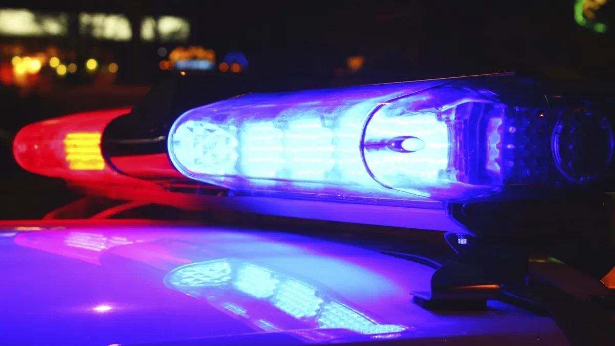 Rampant Stabbings Shake Springfield Community