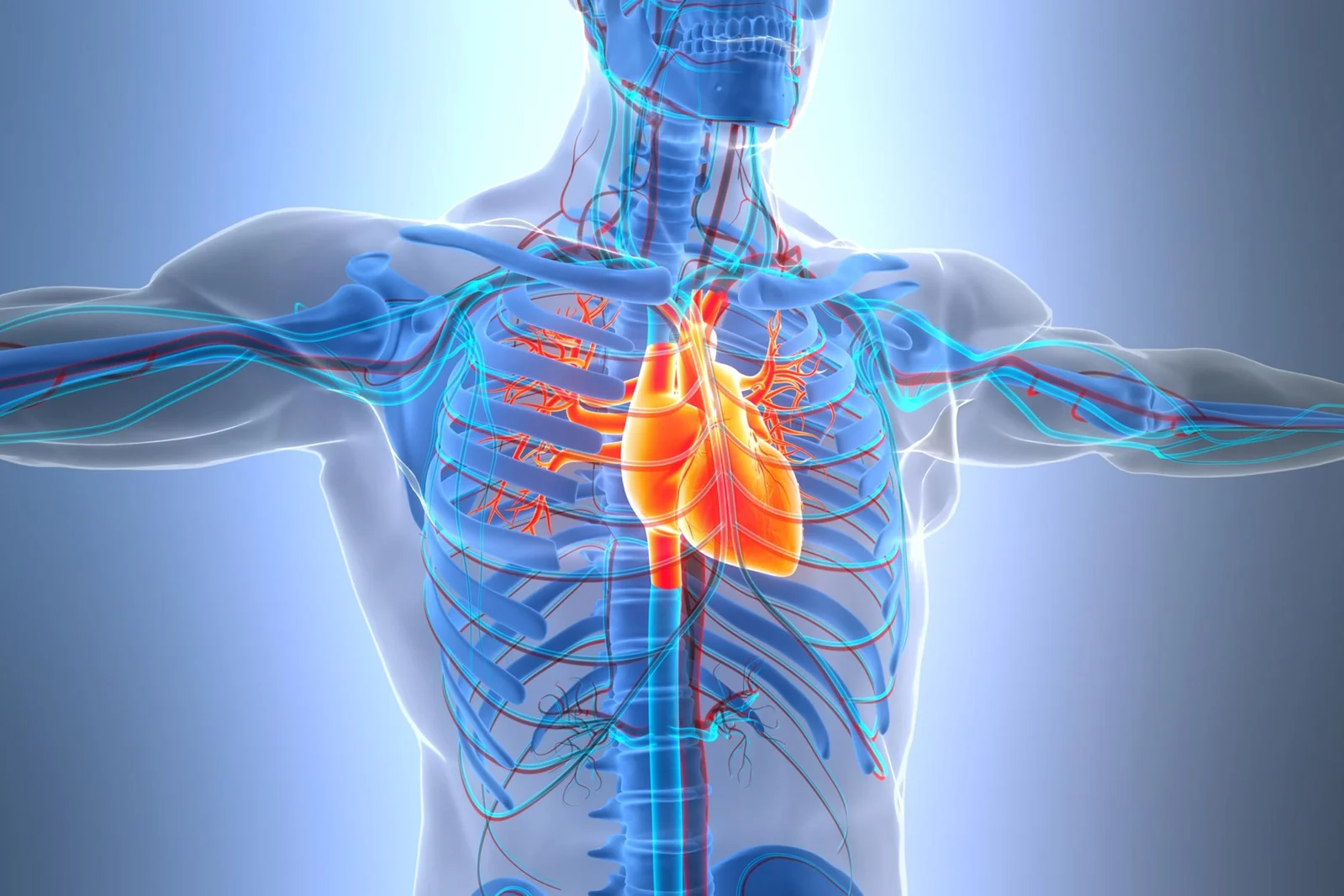 ApoB Blood Test Promises Better Heart-Health Guidance Than LDL