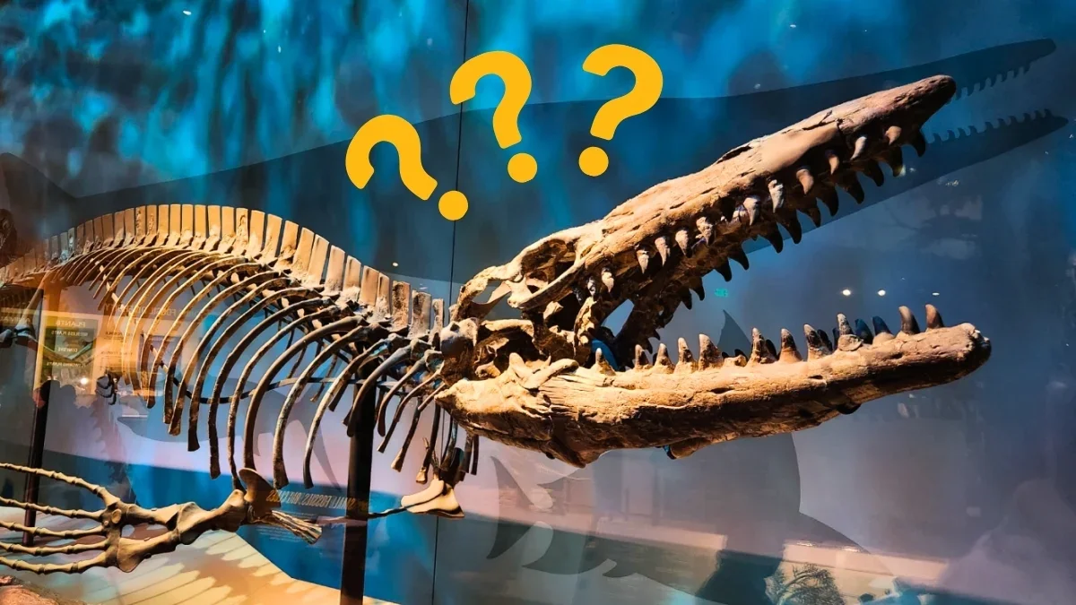 New Apex Predator Unearthed: Mosasaur Reclassified as Tylosaurus rex