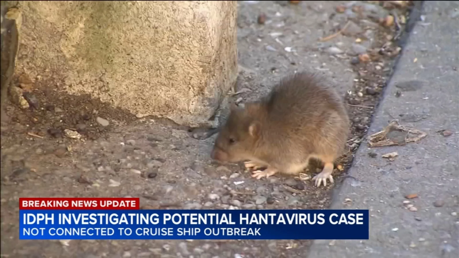 Winnebago County Hantavirus Probe Highlights Low Risk, No Cruise-Ship Link