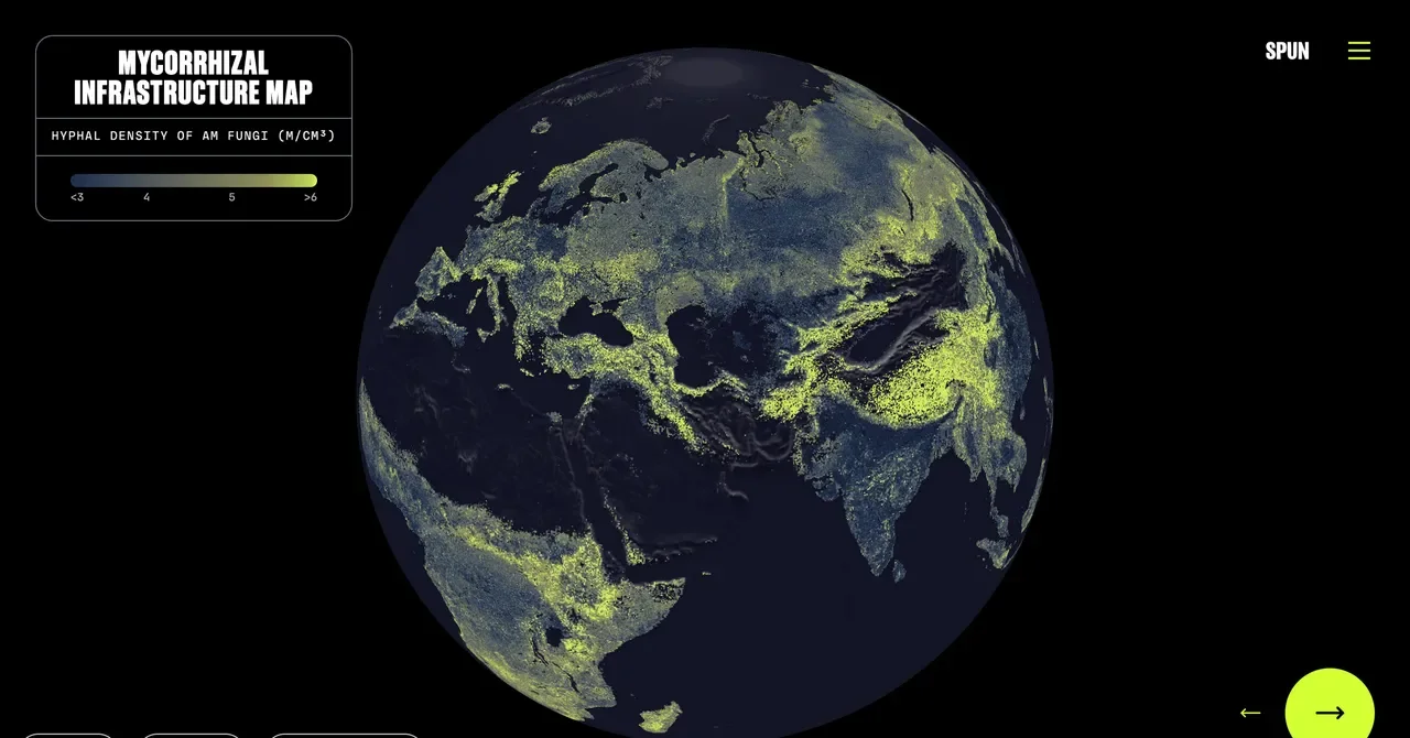 First Global Map Reveals Earth's Hidden Fungal Highway