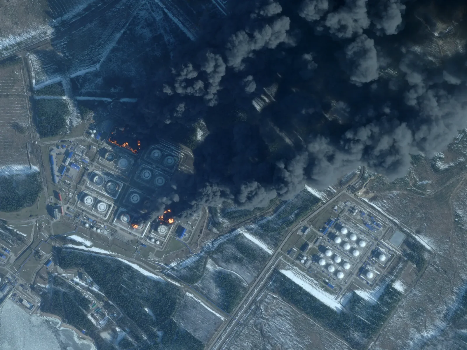 Drones Hit Zaporizhzhia Plant Lab and Primorsk Port Amid Ukraine-Russia Clashes