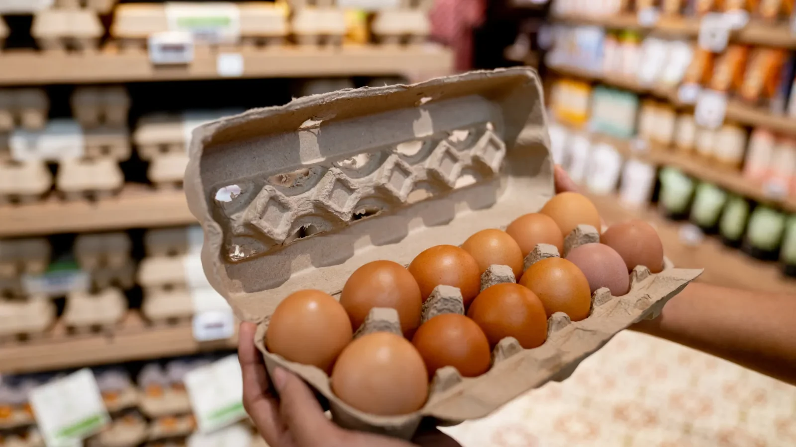 Massive egg recall: nearly 1.6 million dozen eggs recalled over Salmonella outbreak