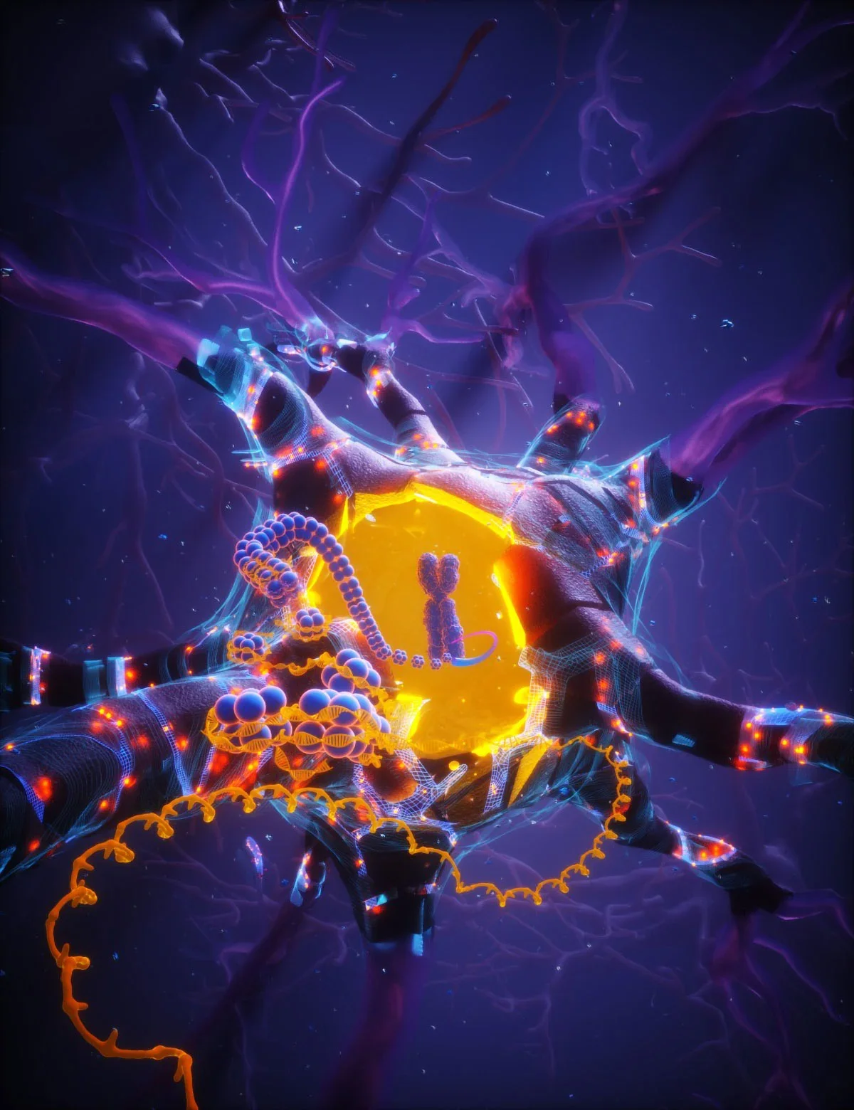 APOE2 Lets Neurons Fight DNA Damage, Slowing Brain Aging