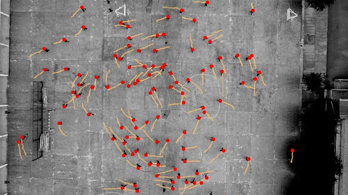 Global study reveals subtle left-turn bias in human movement