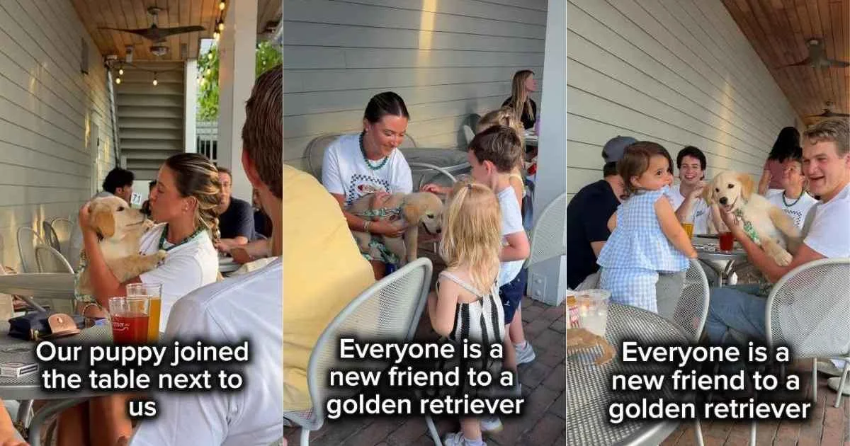 Golden Pup Honey Turns a Restaurant Visit into a Smiles Parade