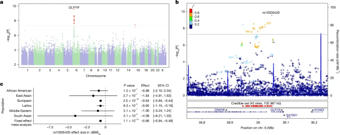 Genetic variants forecast GLP-1 weight‑loss response and nausea risk