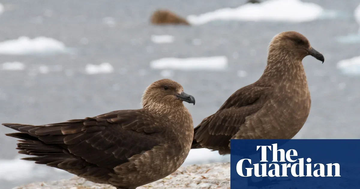 New Zealand Detects First H5N1 Bird Flu Case, Puts Native Birds at Risk