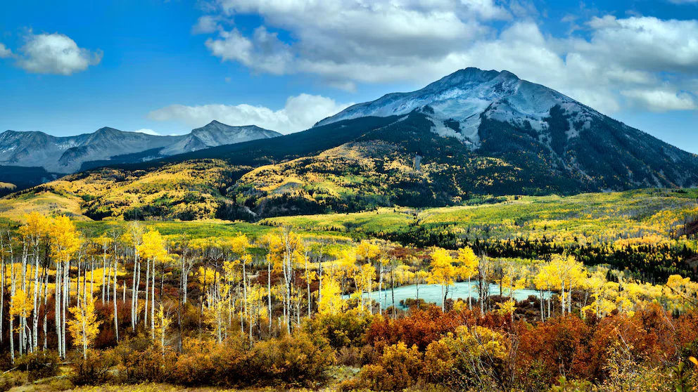 Loyal Dog Survives Months in Colorado Mountains with Deceased Owner
