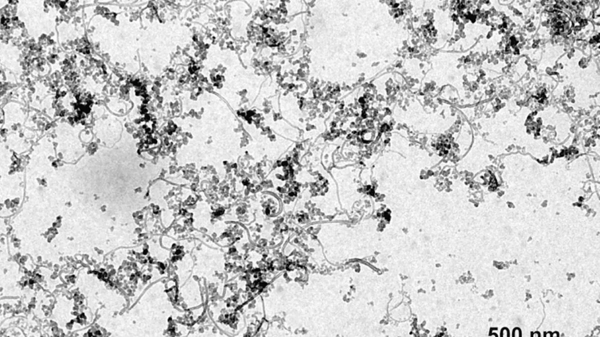 Ultra-Black Car Paint Promises 99.9% Light Absorption for Luxury Finishes