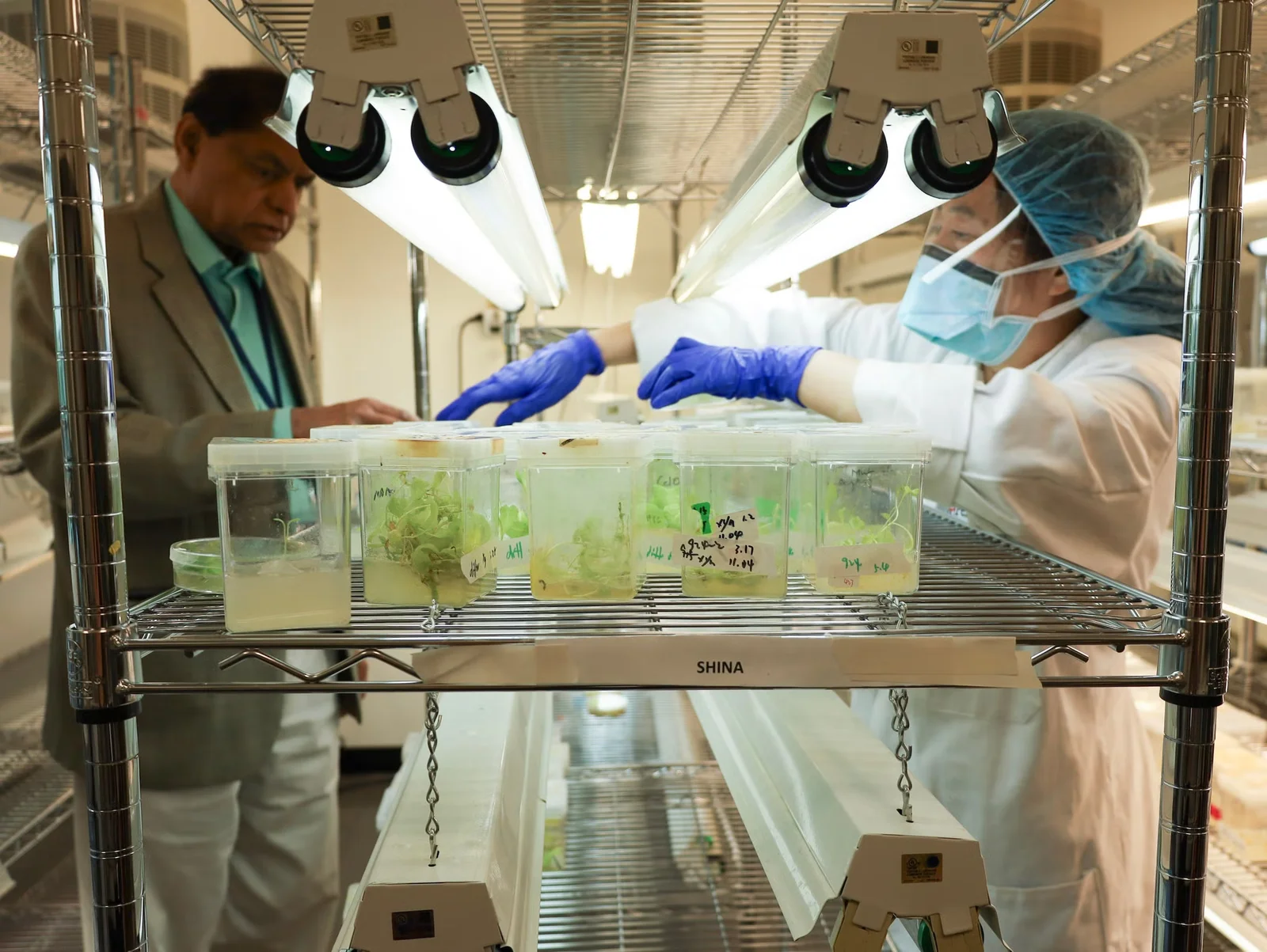 Penn researchers develop antiviral chewing gum to curb oral cancer risk