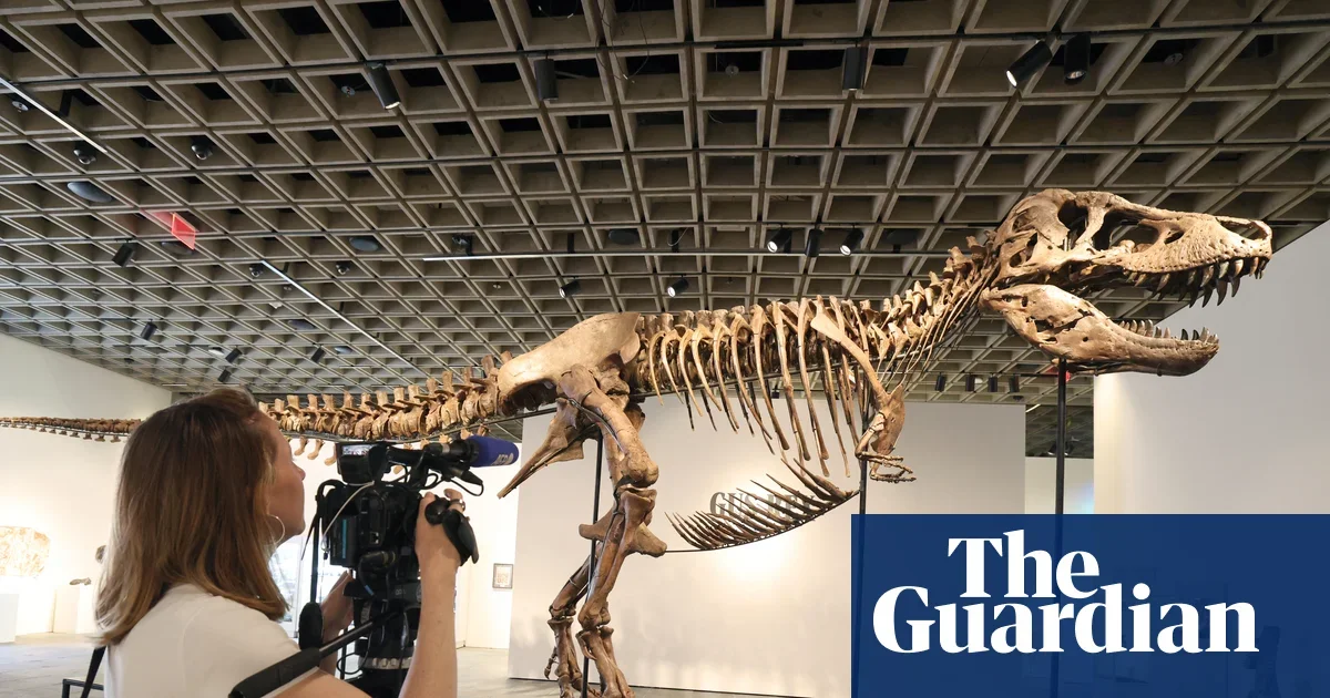 Gus the T. rex heads to auction, fueling debate over fossil ownership and science access