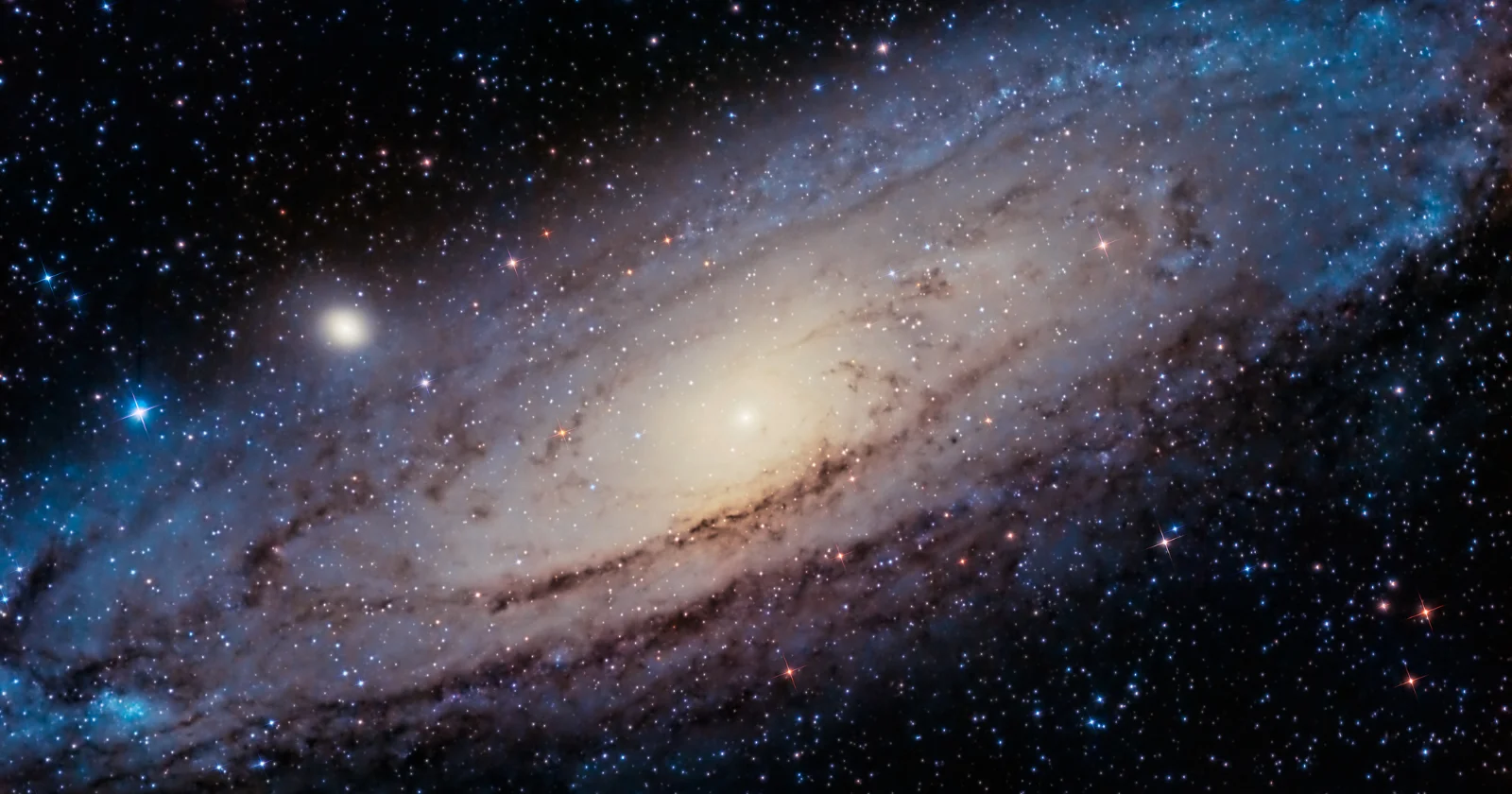 Hubble's Blank-Sky Gamble Unveils a Cosmic Forest of Galaxies