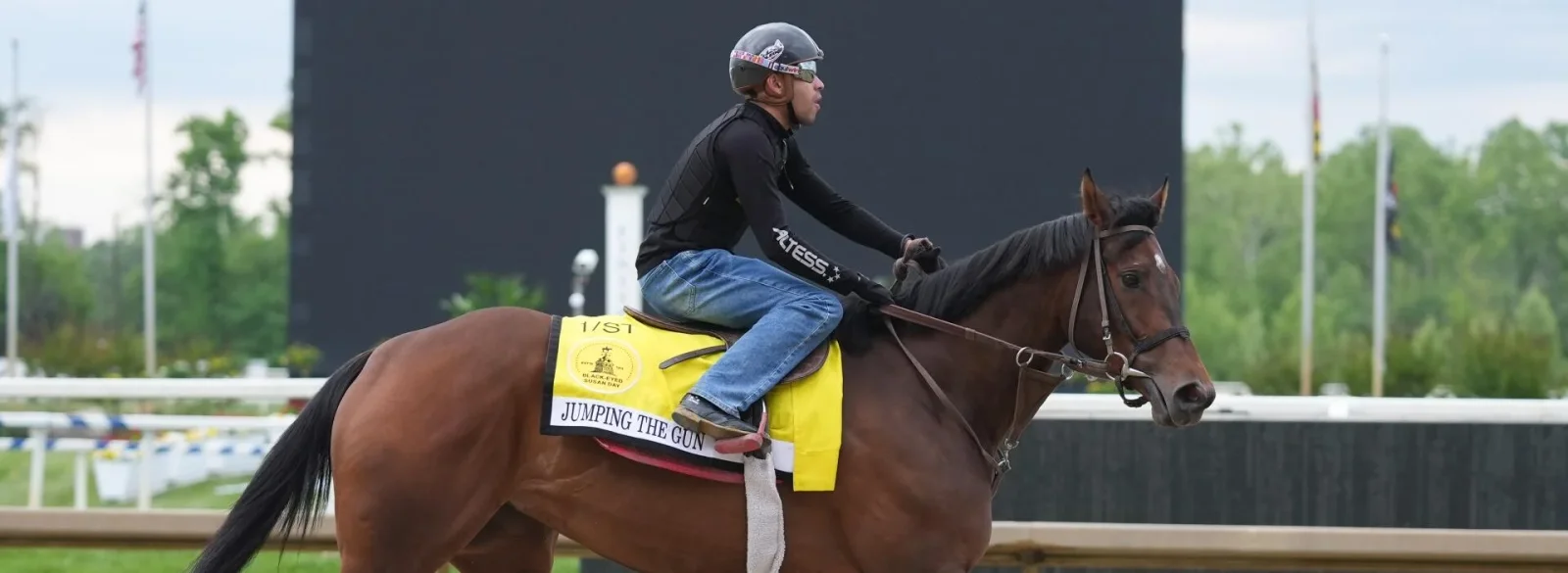 Expert fades favorite Jumping the Gun in 2026 Black-Eyed Susan Stakes