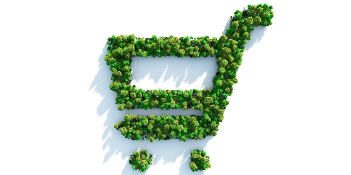 Living Wall Power: Five Houseplants Significantly Cut Indoor Pollutants, Study Finds