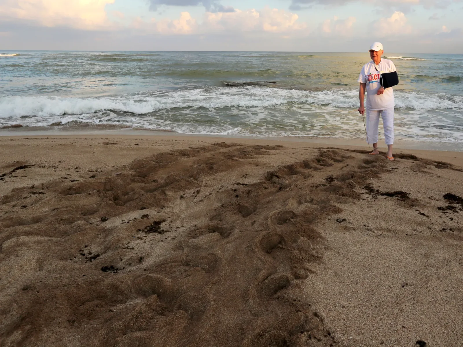 Beirut bids farewell to Lebanon’s turtle advocate Mona Khalil