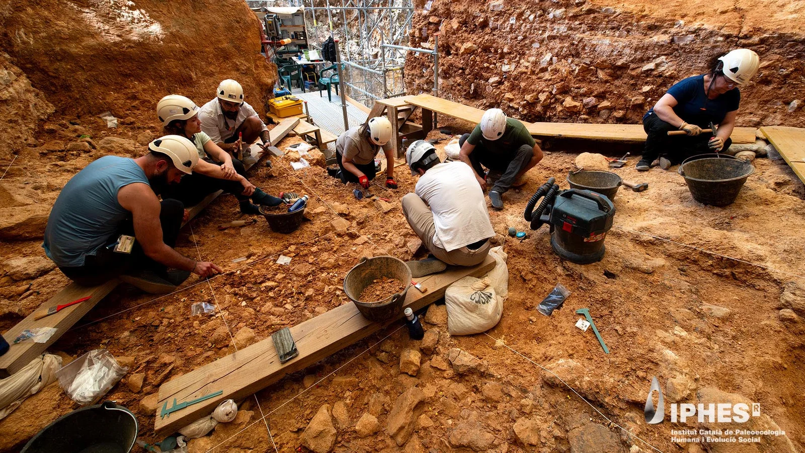 Ancient cannibalism in Spain reveals adults among Homo antecessor victims (850,000 years ago)